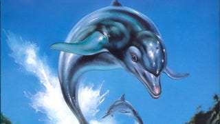 Ecco the Dolphin cover showing two dolphins leaping out of water