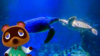 Two real life turtles kiss with cartoon Tom Nook character from Animal Crossing in the corner